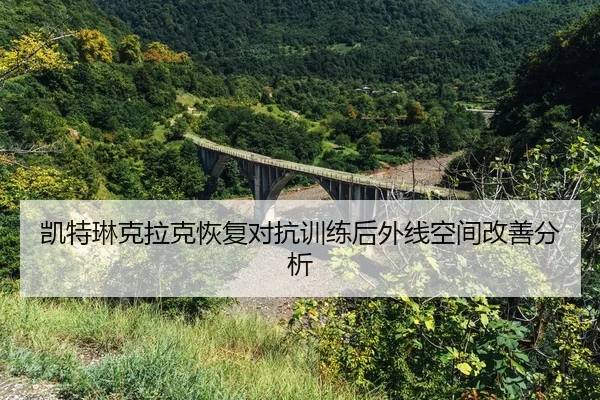 kai-te-lin-ke-la-ke-hui-fu-dui-kang-xun-lian-hou-wai-xian-kong-jian-gai-shan-fen-xi-2-897.jpg