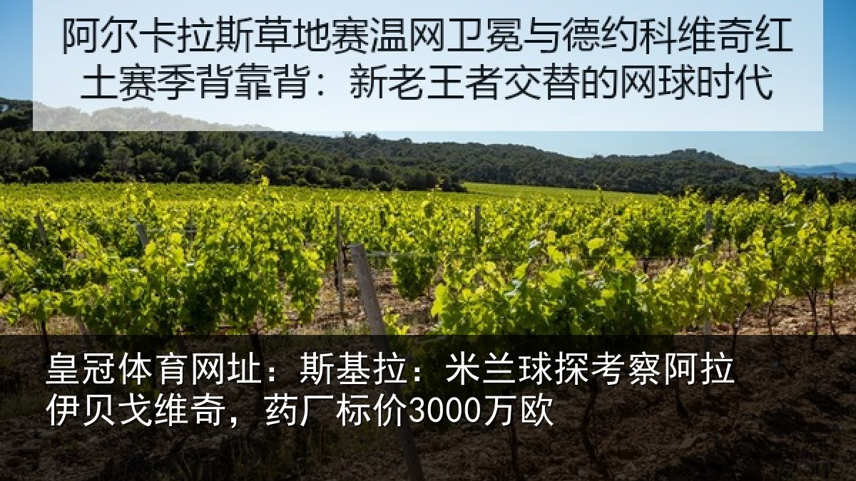 皇冠体育网址:斯基相关情况拉伊相关情况3000万欧