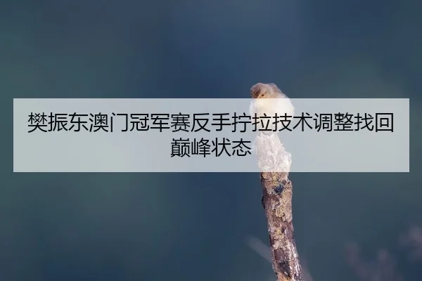 fan-zhen-dong-ao-men-guan-jun-sai-fan-shou-ning-la-ji-shu-tiao-zheng-zhao-hui-dian-feng-zhuang-tai-2-355.jpg